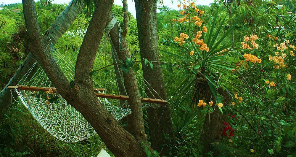 St. John Inn Cruz Bay Экстерьер фото