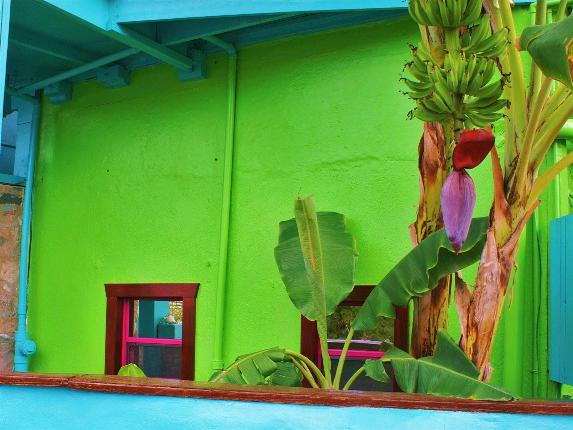 St. John Inn Cruz Bay Экстерьер фото